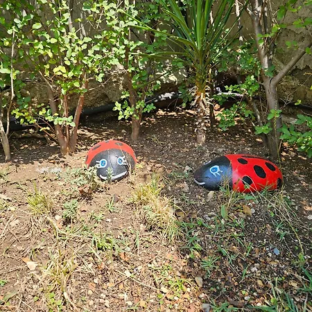 River Escape - Private Beach, Scenic View & Bbq Tepelene