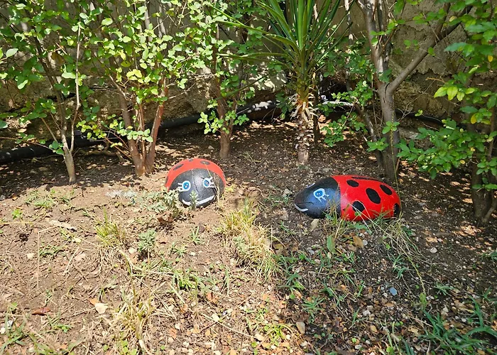 River Escape - Private Beach, Scenic View & Bbq Tepelene